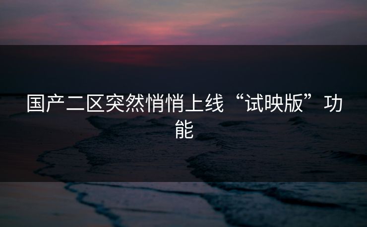 国产二区突然悄悄上线“试映版”功能