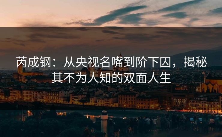 芮成钢：从央视名嘴到阶下囚，揭秘其不为人知的双面人生
