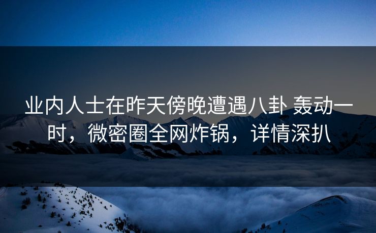 业内人士在昨天傍晚遭遇八卦 轰动一时，微密圈全网炸锅，详情深扒