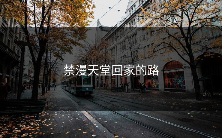 禁漫天堂回家的路