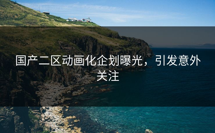 国产二区动画化企划曝光，引发意外关注